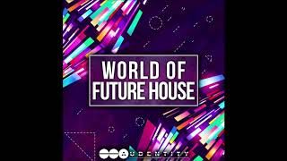 World Of FUTURE HOUSE