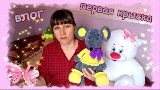 Влог  Готовые работы, первая крыса, болячки