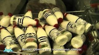 Хрюши против 30 - Чем нас кормит "Седьмой континент"