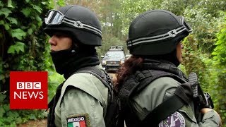 On patrol with Mexico's avocado police - BBC News