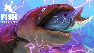 J'AI MANGÉ LE NOUVEAU POISSON LE PLUS PUISSANT DU JEU ! | Feed and Grow: Fish !