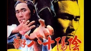 Замечательный и удивительный (боевые искусства 1982 год)