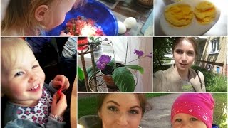 ВЛОГ выпускной, OOTD, легкий салат, стрептокарпус
