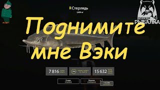 Русская рыбалка 4. Спиннинг на Суре. Вэки-черви на течении.