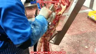 Дисковая пила Джарвис для туш и полутуш