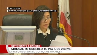 Monsanto ordered to pay $289m to US glyphosate cancer victim (English)