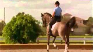Horse Wear and Equipment for Horse Riding - Tally Ho Farm