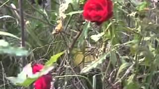 Гарнизон Верхняя Нора в Германии - съемки 2007 года