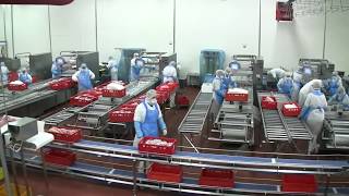Работа в Польше на мясоперерабатывающем комбинате Pini Polonia