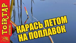 РЫБАЛКА на КРУПНОГО  КАРАСЯ!  Ловля карася ЛЕТОМ на ПОПЛАВОК!  Особенности рыбалки на карася!!!