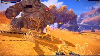 Tera online - BAM boss solo - Brawler (lvl 25 Barraq - Thunderwalker)