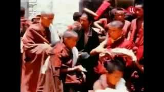 Документальный фильм: Тибет (BBC)