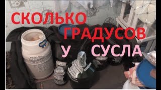 ТЕМПЕРАТУРА БРОЖЕНИЯ СУСЛА