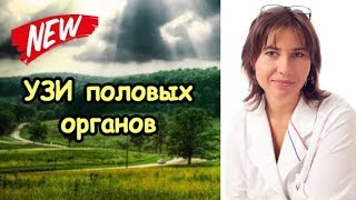 УЗИ половых органов мужчин