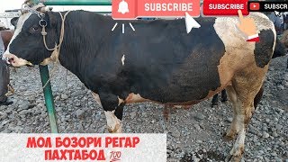мол бозори регар пахтабод ? нархи арзон 23.06.2019