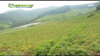 해발 800m 고원 속 오지, 비사랑마을 @생방송 투데이 130805