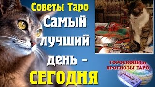 Советы таро. Самый лучший день - СЕГОДНЯ. Карта дня. Расклад таро. Прогноз таро. Гороскоп таро