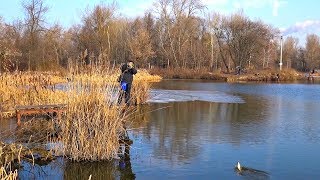 Бешеный клев щуки на мышей и личинки стрекозы! Самые рабочие цвета на хищника! Возвращение легенды!