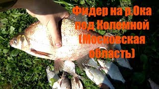 рыбалка на фидер на р Ока в Коломне Московская область