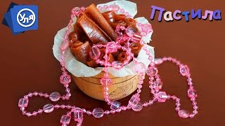Пастила в домашних условиях // Пастила из абрикос - быстро, вкусно и полезно!