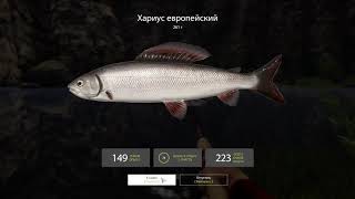Русская рыбалка 4 Бюджетная сборка спиннинга для новичка на р. Белая