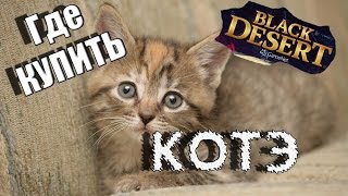 Открытое Бетта Тестирование BlackDesert Rus
