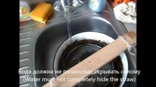 Маленькие грибные блоки в домашних условиях (Little fungal blocks at home)
