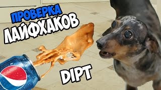 ПРОВЕРКА ЛАЙФХАКОВ с канала DIPT - жесть