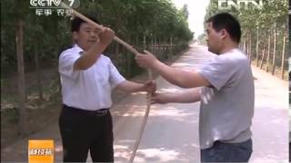 科技苑 《科技苑》 20130709 一把中药粉磨了三十年