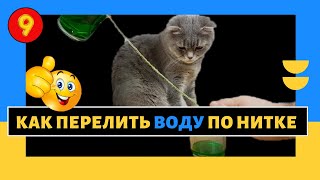 ? КАК перелить ВОДУ ПО НИТКЕ/ Интересный эксперимент в домашних условиях своими руками#Let's Do It