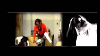 Titi - Maman je t'aime