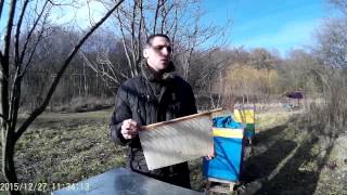 Бджільництво. Зимівля з ізолятором Хмари (практичне заняття)