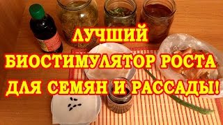 ЛУЧШИЙ БИОСТИМУЛЯТОР РОСТА ДЛЯ СЕМЯН И РАССАДЫ!