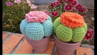 Cómo hacer un cactus amigurumi - How to make amigurumi cactus