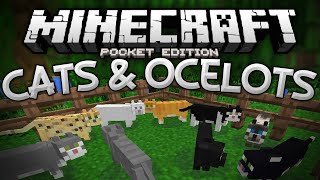 OCELOTS & CATS in MCPE!!! - Tamable Ocelot Mod - Minecraft PE (Pocket Edition)