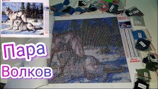 Шикарные Волки Полная выкладка 30 на 40 см Алмазная вышивка из Китая