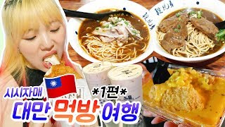 자매 대만여행 1편 - 우육면+통옥수수 치즈감자+흑진주버블티+홍러우+타이베이101타워,중정기념당 등등!(ENG,JP SUB)