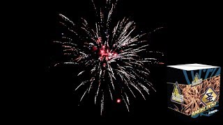 Angle Dust Batterie Evolution Fireworks | PyroExtremGermany
