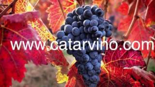 Diferencia entre el vino rosado y clarete.