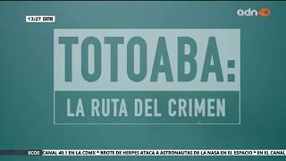 Totoaba: La ruta del crimen