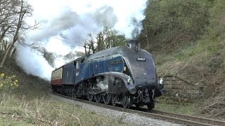 North Yorkshire Moors Railway - Spring Steam Gala 2015