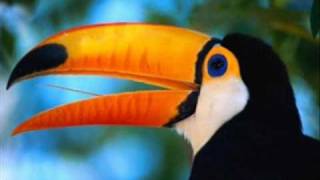 HINO NACIONAL  VERSÃO  BELEZAS DO PANTANAL MATOGROSSENSE
