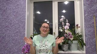 Крик души))) Простите меня за то, что я на столько прямолинейна с вами! Я никогда не изменюсь!!!!!