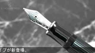 Pelikan ペリカン 万年筆 スーベレーン M805 ブラックストライプ B