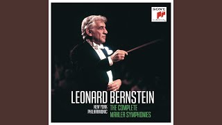Symphony No. 3 in D Minor, Part II: VI. Langsam, Ruhevoll. Empfunden