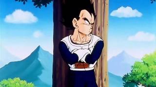 DragonBall Z - Vegeta's Kinda Cute!