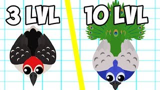 Эволюция Самых Новых ПТИЦ в Мопио.  Обновление Mope.io Новые СКИНЫ
