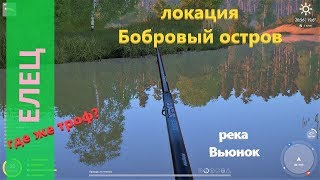 Русская рыбалка 4 - река Вьюнок - Размышления о трофейном ельце