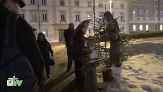 Kaledinė eglutė Deimantei 2012-12-27