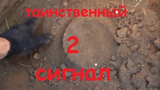 Осенний поиск монет 2015.Таинственный сигнал 2.